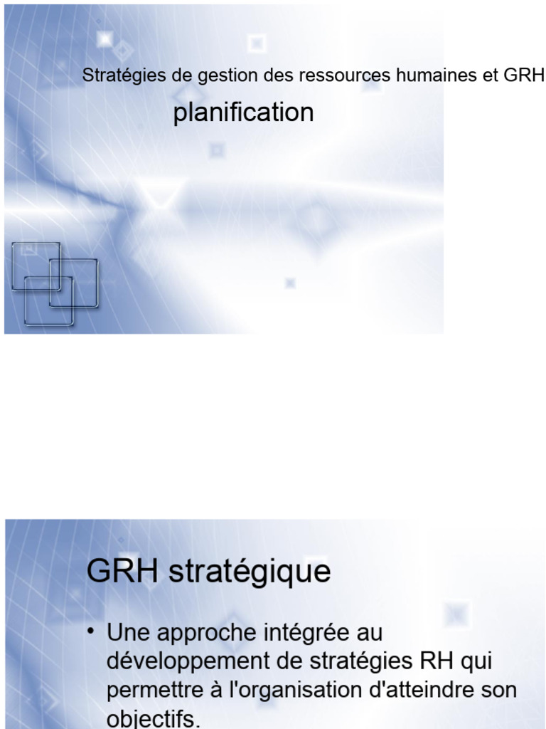 Stratégies de Gestion des Ressources Humaines | PDF | Gestion des ...