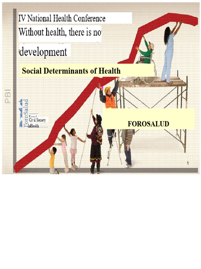 Social Determinants of Health in Peru | PDF | Peru | Poverty