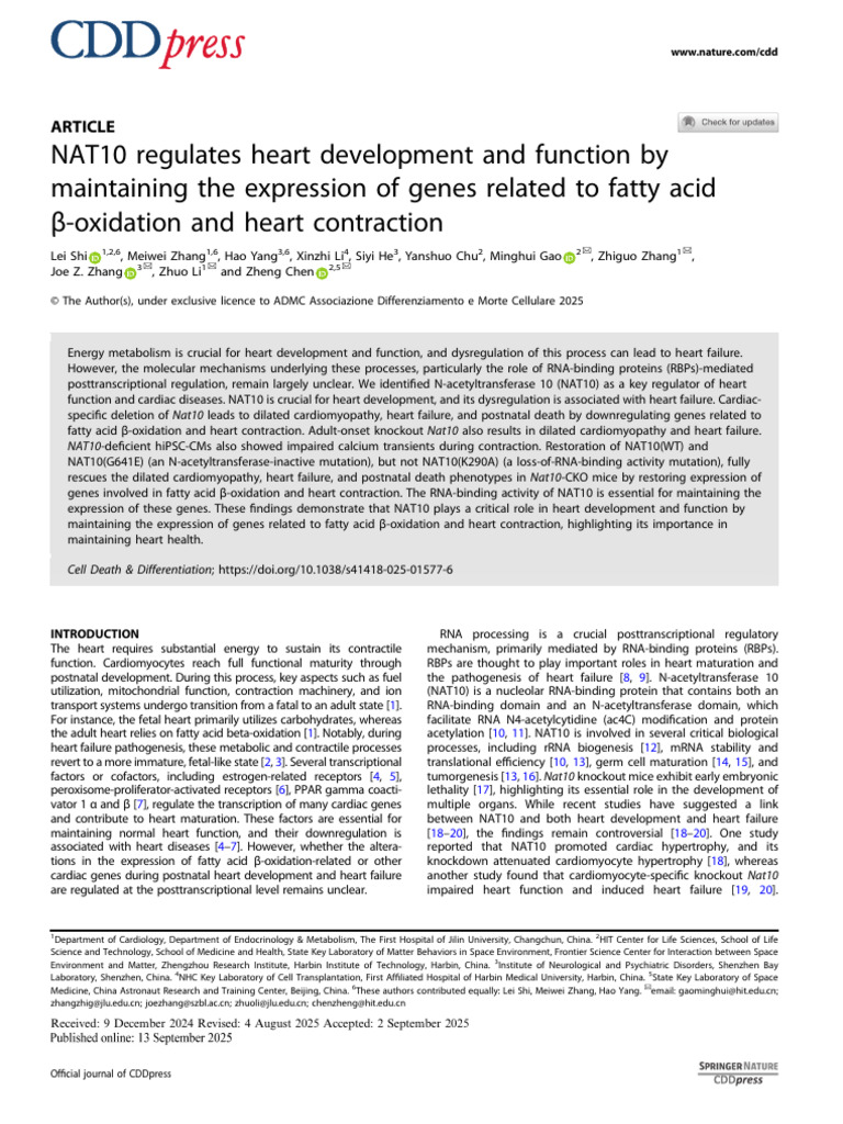 NAT10's Role in Heart Function and Development | PDF | Biology ...