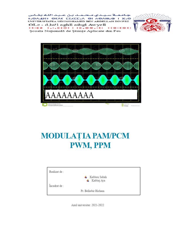 Modulare Pam - PCM - PWM - PPM | PDF