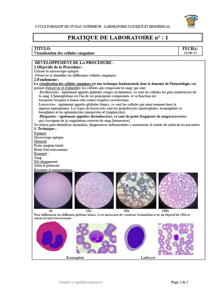 Visualisation des cellules sanguines en laboratoire | PDF | Globule ...