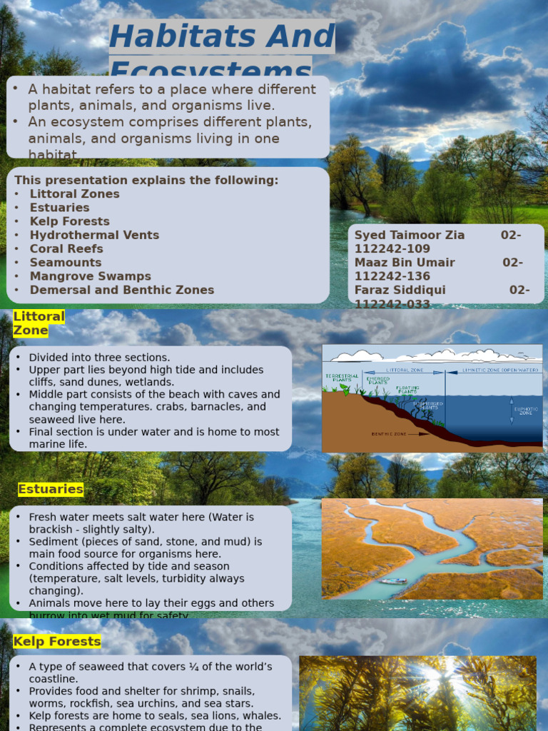 Habitats and Ecosystems Overview | PDF | Sea | Coral Reef