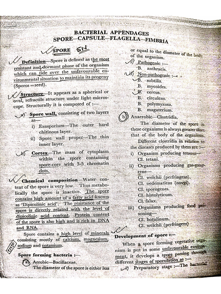 CULTURE OF BACTERIA AND OTHERS SHORT NOTES | PDF