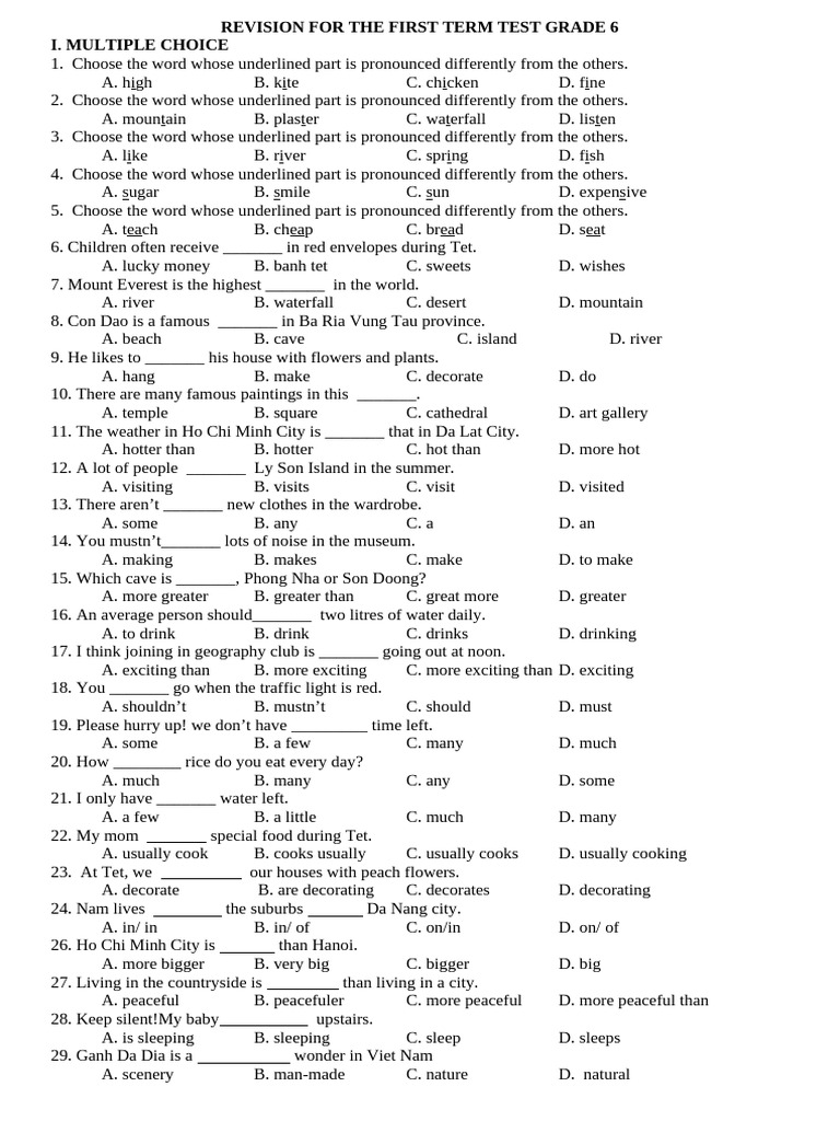 Grade 6 Term Test Revision Guide | PDF