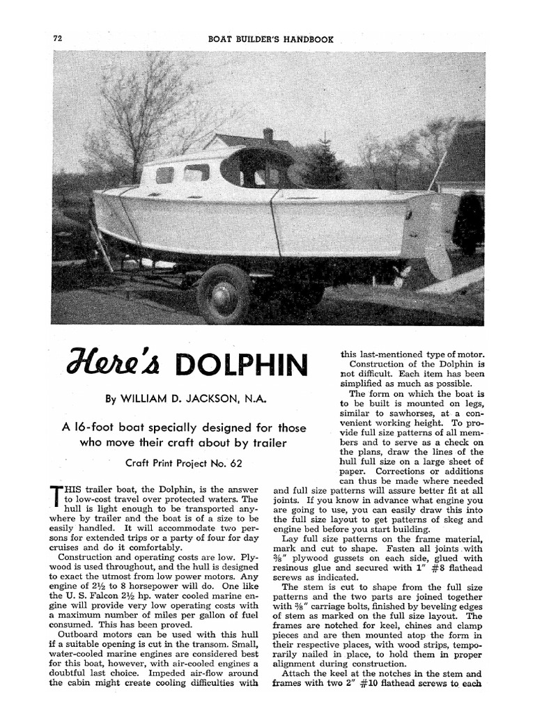 Dolphin | PDF