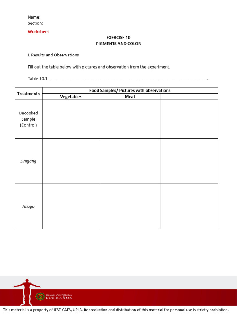 Pigments and Color Worksheet Exercise | PDF