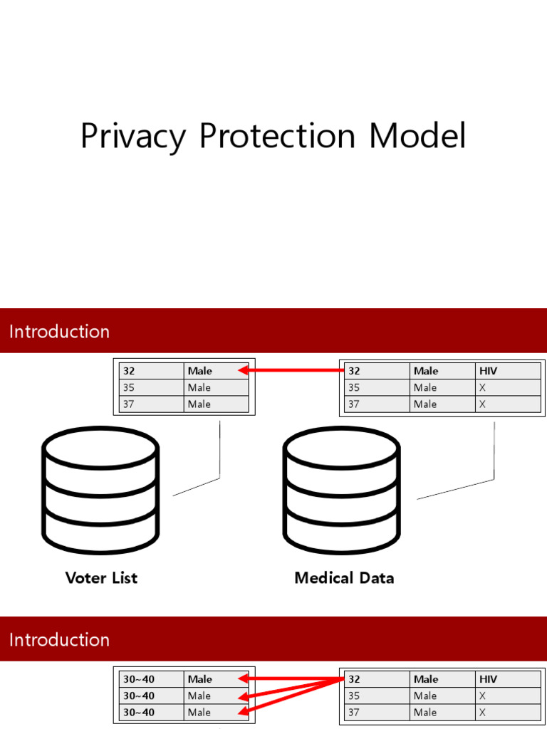Privacy Protection in Data Models | PDF | Infection | Indigestion