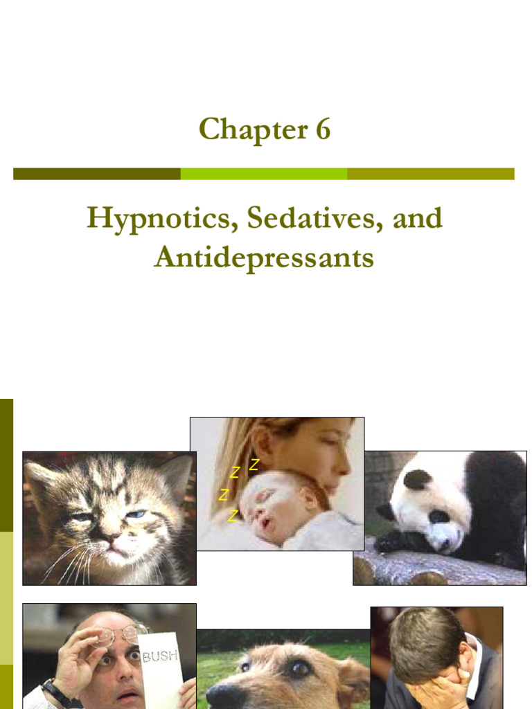 CNS Depressants: Hypnotics & Anxiolytics | PDF | Benzodiazepine ...