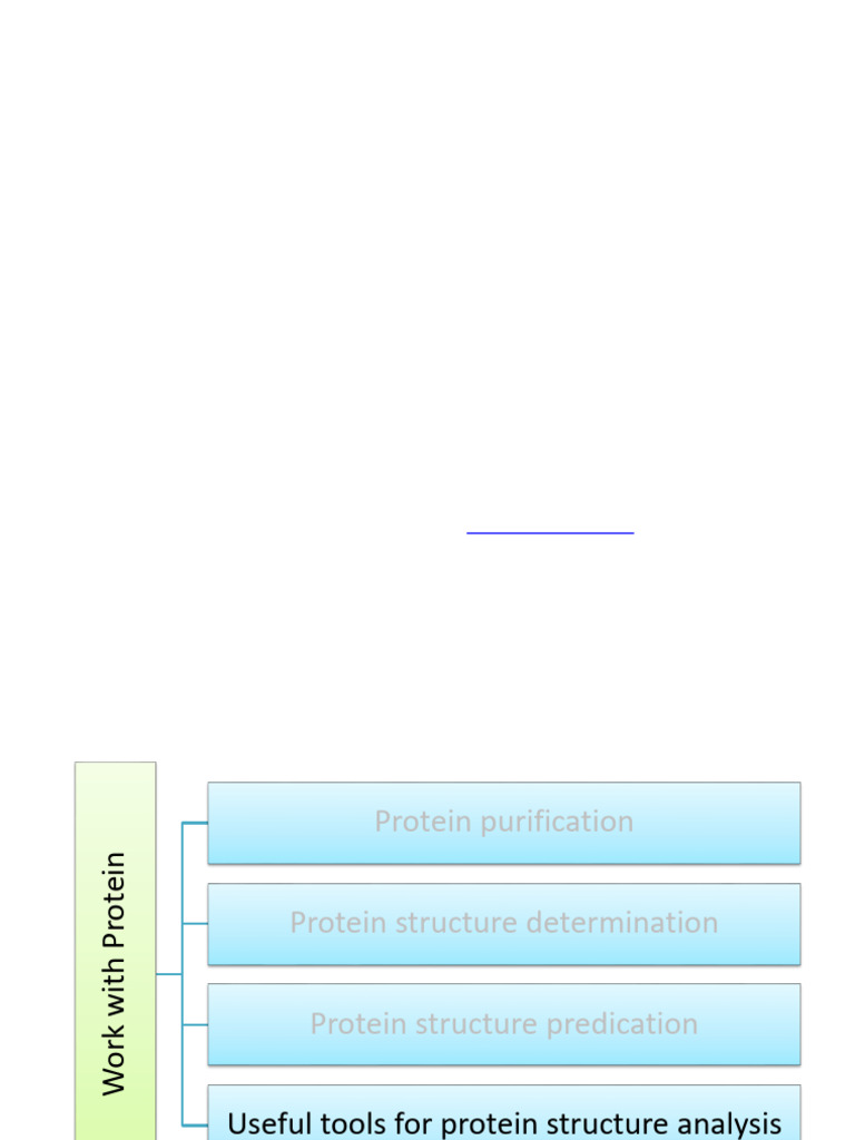 Protein Structure and Function Overview | PDF | Protein Domain ...