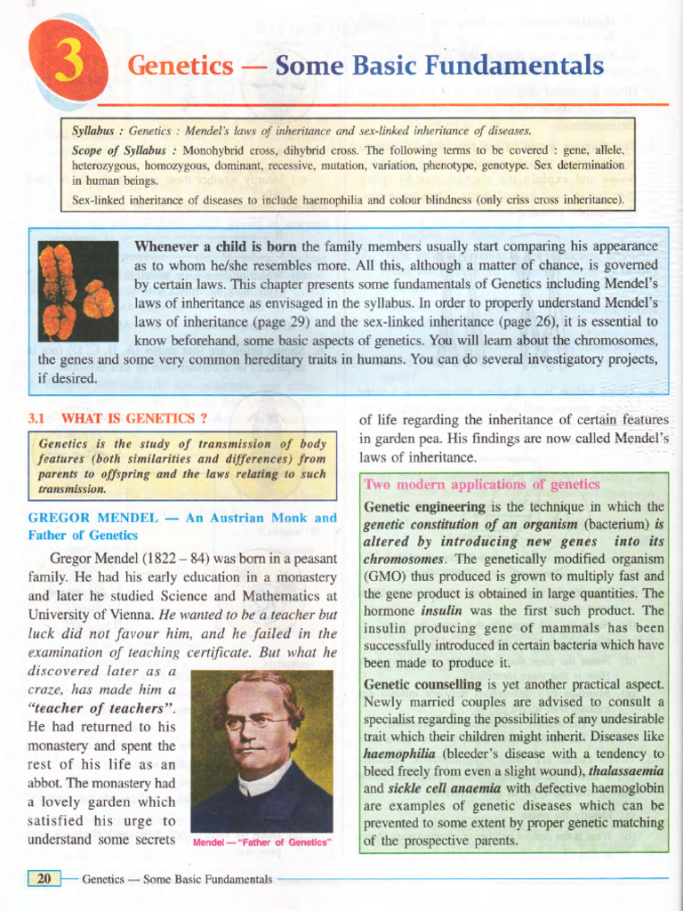 Biology Chapter 3 Genetics of class X | PDF