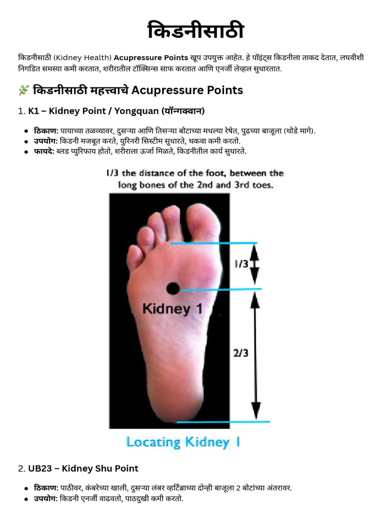 Kidney | PDF
