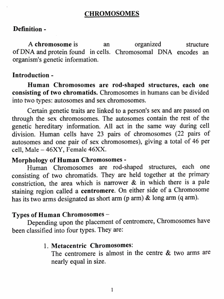 Genetics Anatomy | PDF | Ploidy | Chromosome