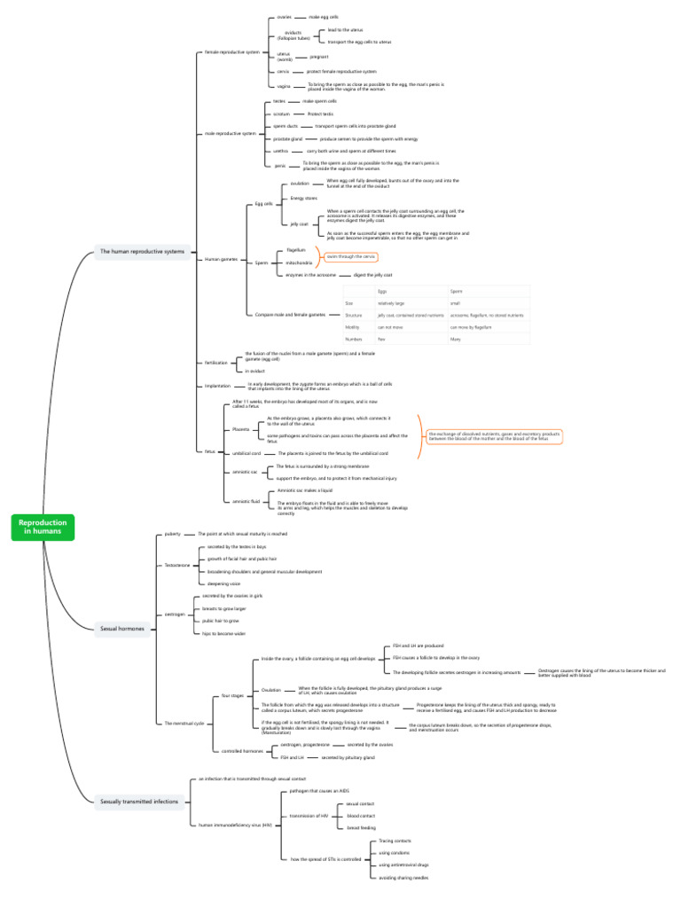 Human Reproductive System Overview | PDF | Luteinizing Hormone ...