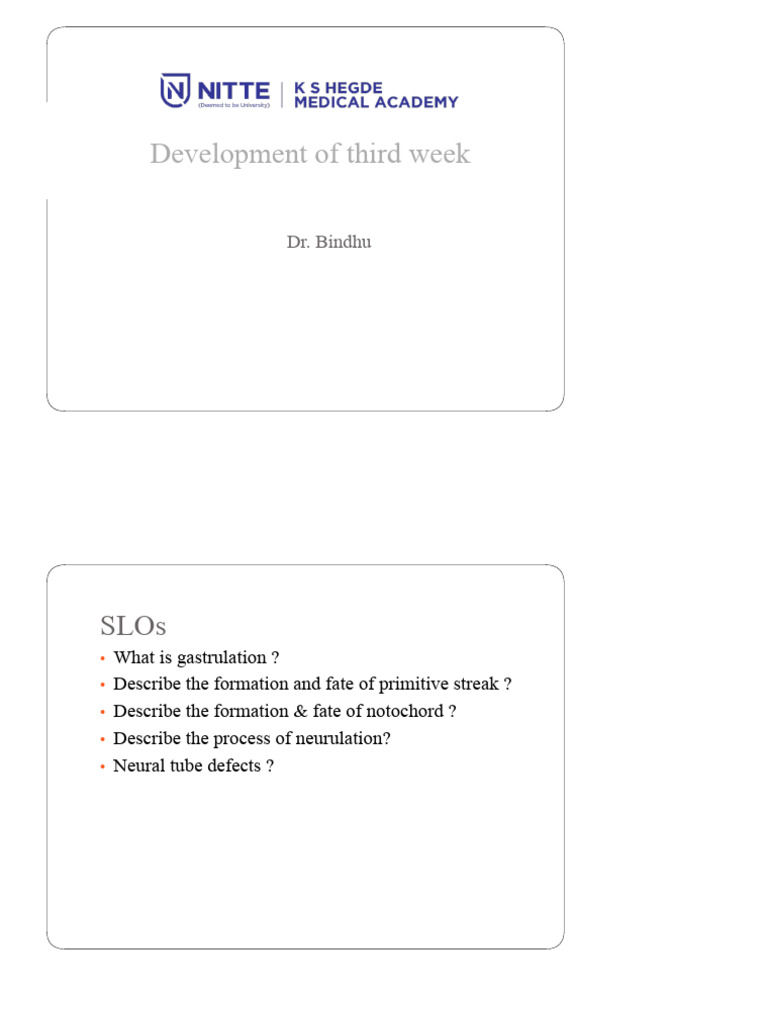 Development of Third Week PPS | PDF | Nervous System | Developmental ...