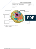 WORKSHEET 2.1 Animal and Plant Cell