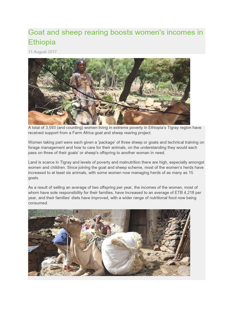 Empowering Women Through Goat Rearing in Ethiopia | PDF | Goat | Sheep