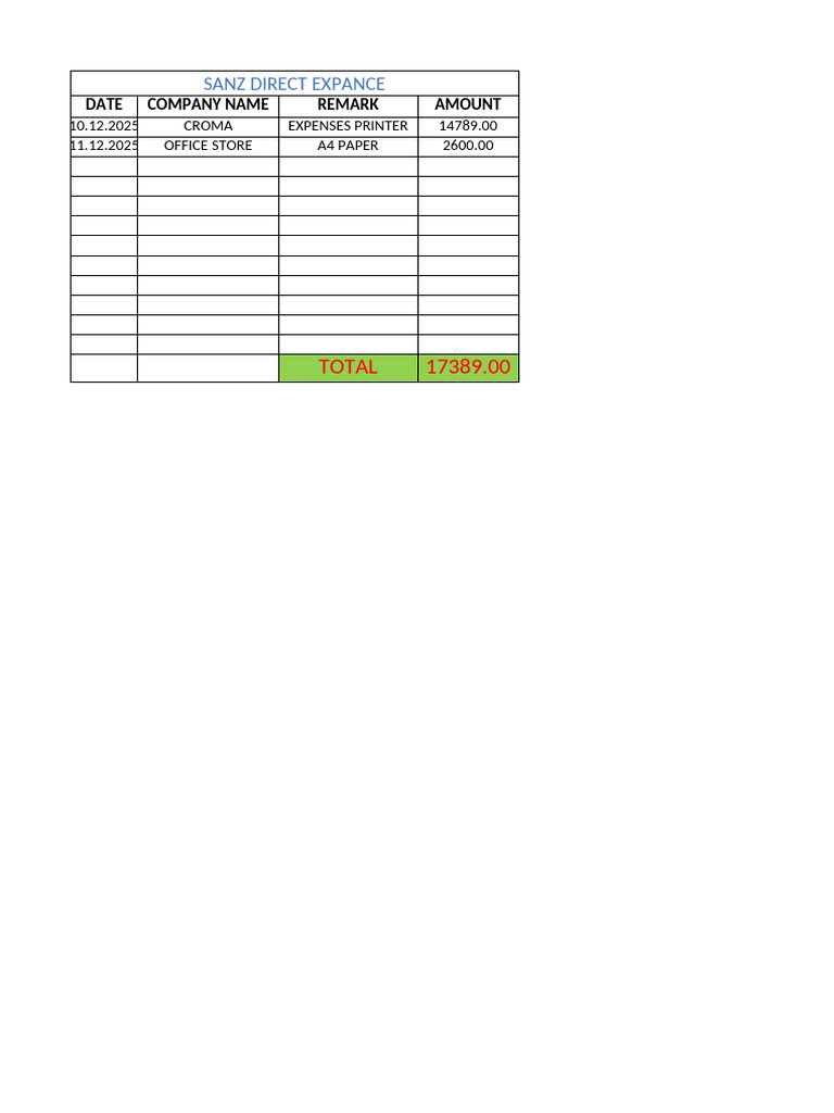 Sanz Direct Expense Report 2025 | PDF