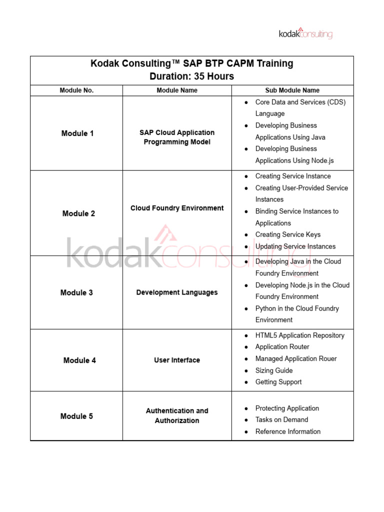 SAP BTP CAPM Training Overview | PDF | Computer Engineering | Computer ...
