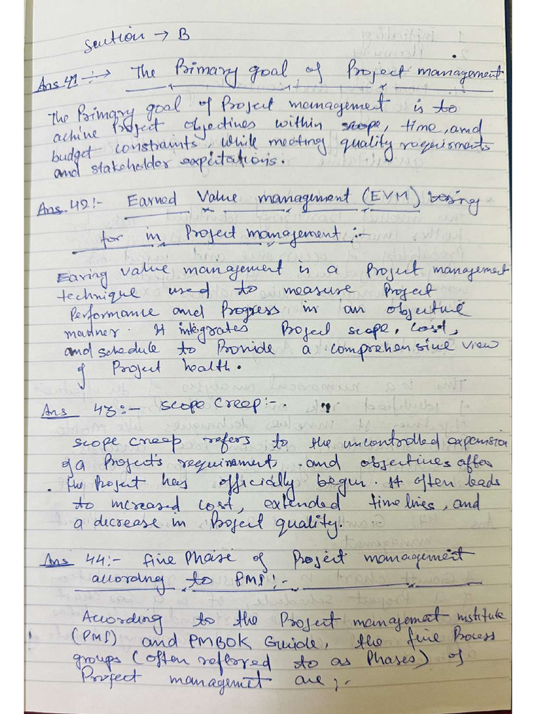 Project Management | PDF
