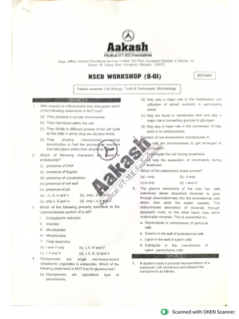 NSEB Workshop 01 | PDF