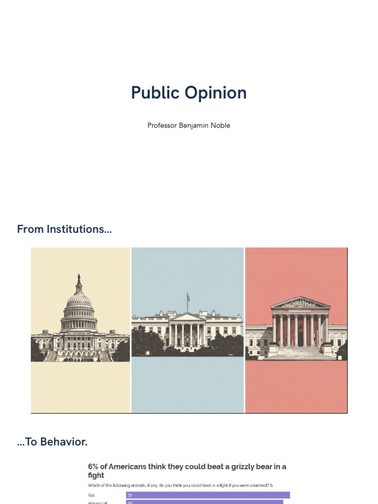 8_public-opinion | PDF | Public Opinion | Political Science