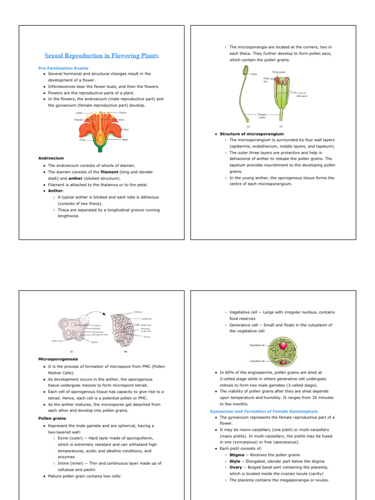 Sexual Reproduction in Flowering Plants | PDF | Seed | Flowers