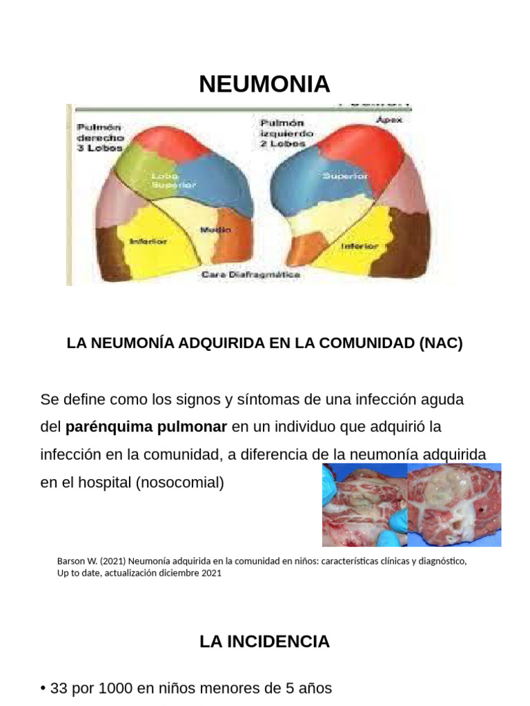 Neumonia 1 | PDF | Neumonía | Enfermedades y trastornos humanos