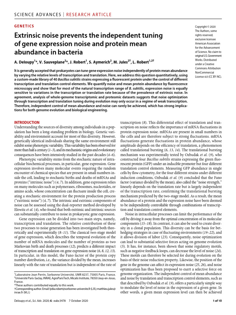Gene Expression Noise in Bacteria | PDF