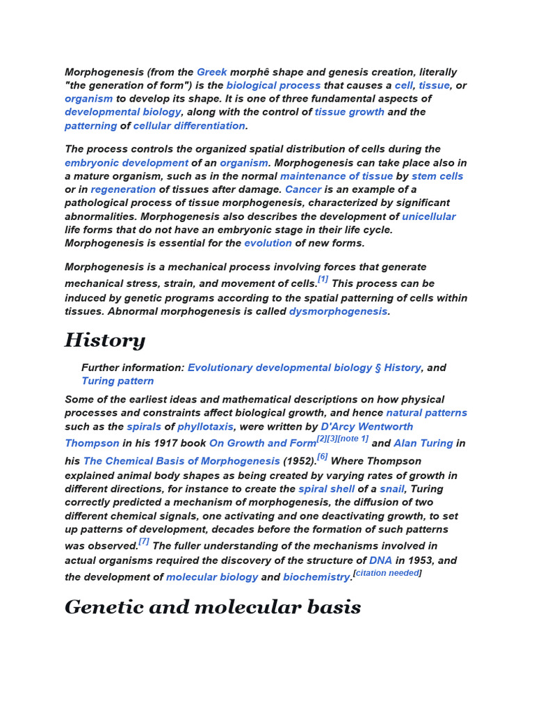 Understanding Morphogenesis in Biology | PDF | Morphogenesis ...