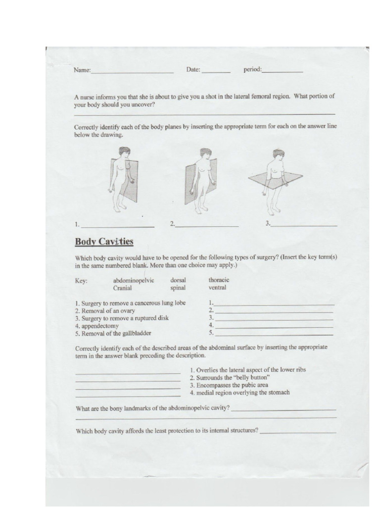 Chapter+1+Quiz+Review | PDF