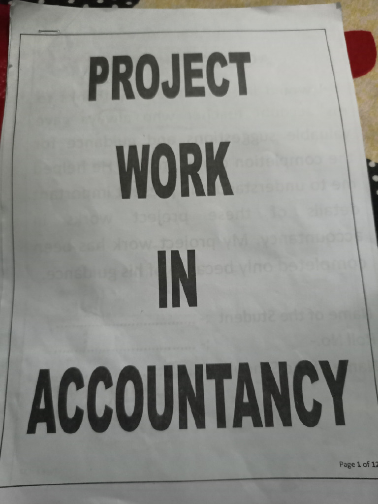Accountancy Project | PDF