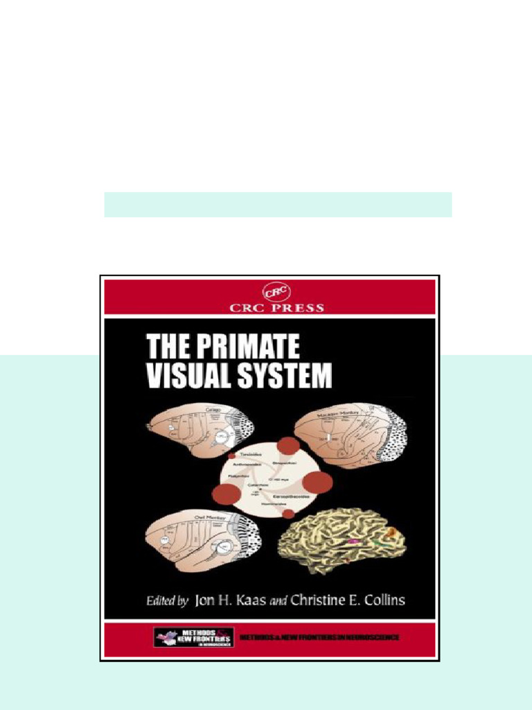 (Ebook) The Primate Visual System by Kaas, Jon H. ISBN 9780203507599 ...