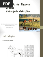 Manejo de Eqüinos e suas Principais Afecções