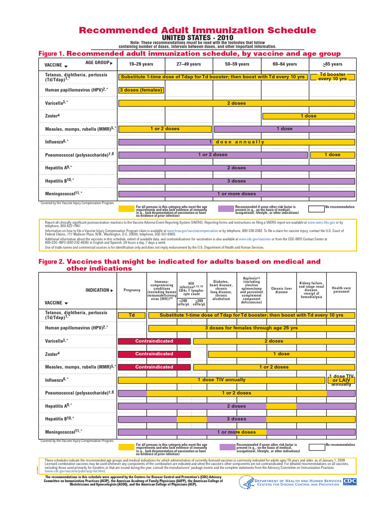 2023 Adult Immunization Guidelines | PDF | Vaccines | Clinical Medicine