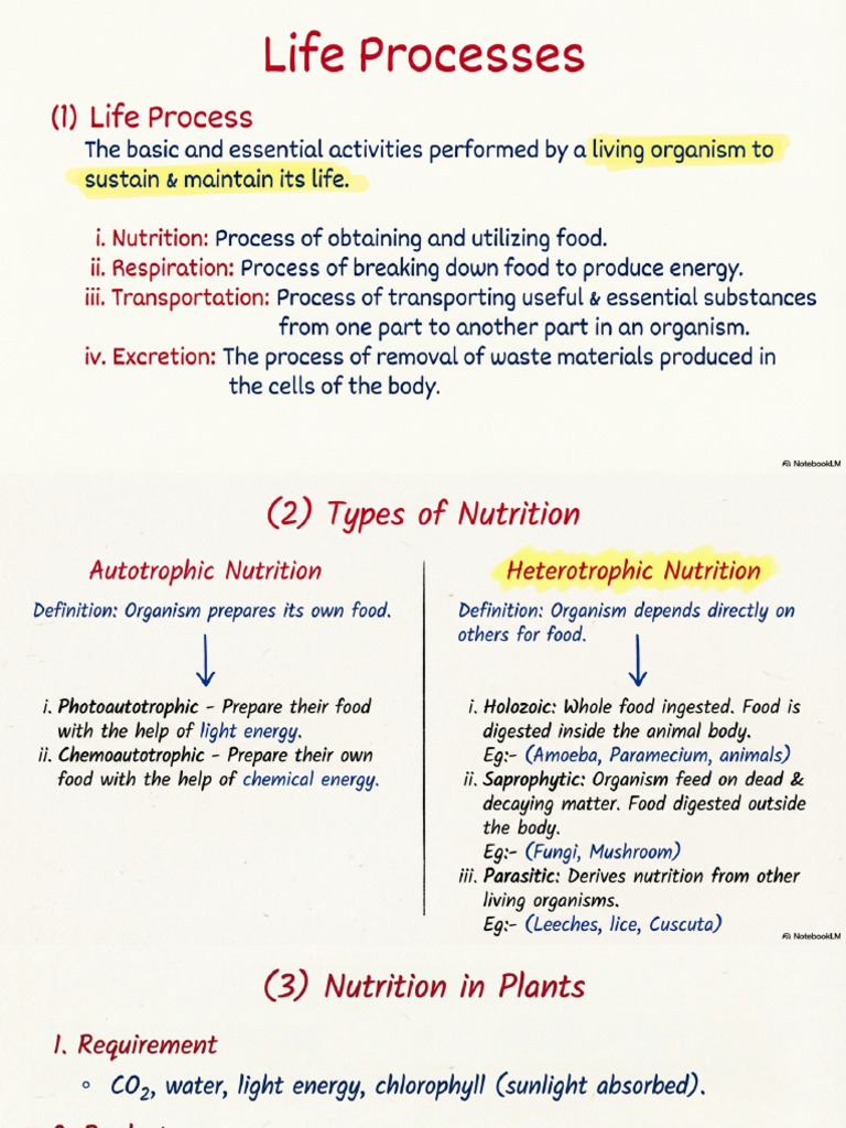 Life Processes Biology Notes | PDF