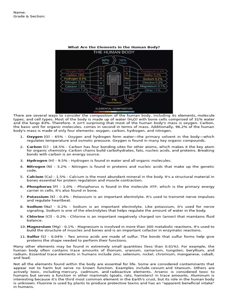 Elements in The Human Body | PDF | Organic Compounds | Carbon