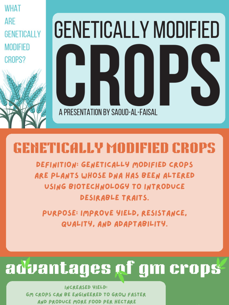 Benefits and Risks of GM Crops | PDF