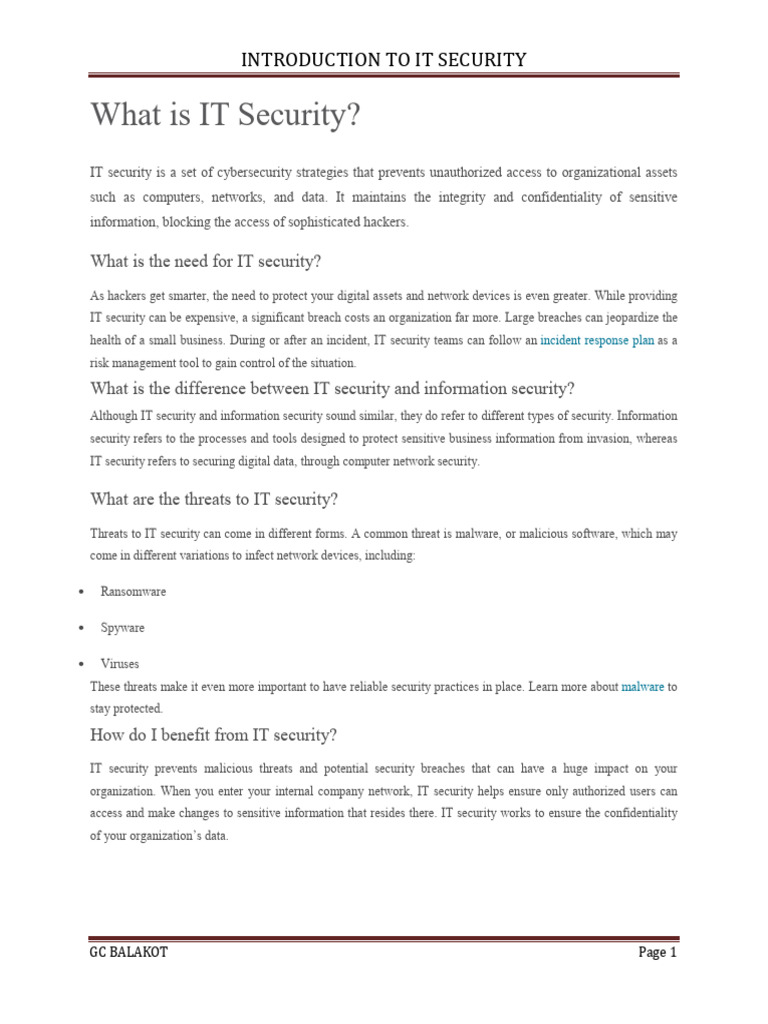 Essential Guide to IT Security Strategies | PDF | Security | Computer ...