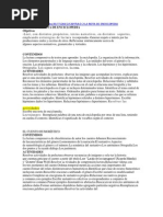 Download Nota de Enciclopedia by Nancy Richmond SN97311306 doc pdf