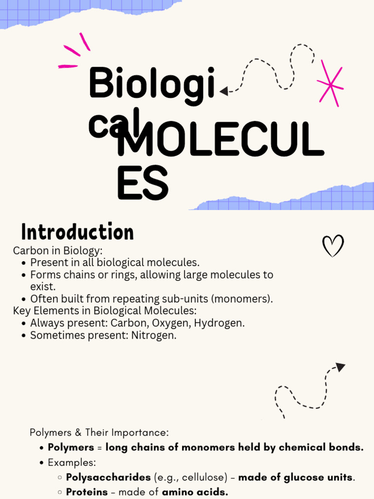 Key Biological Molecules Explained | PDF | Nucleotides | Carbohydrates