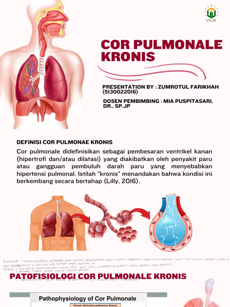 Patofisiologi dan Diagnosis Cor Pulmonale Kronis | PDF