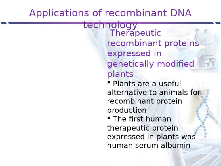 Recombinant Protein in Plants | PDF