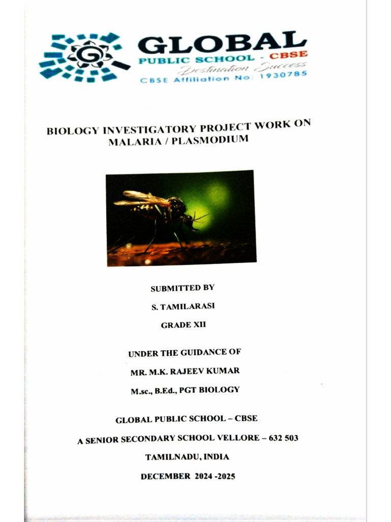 Bio | PDF