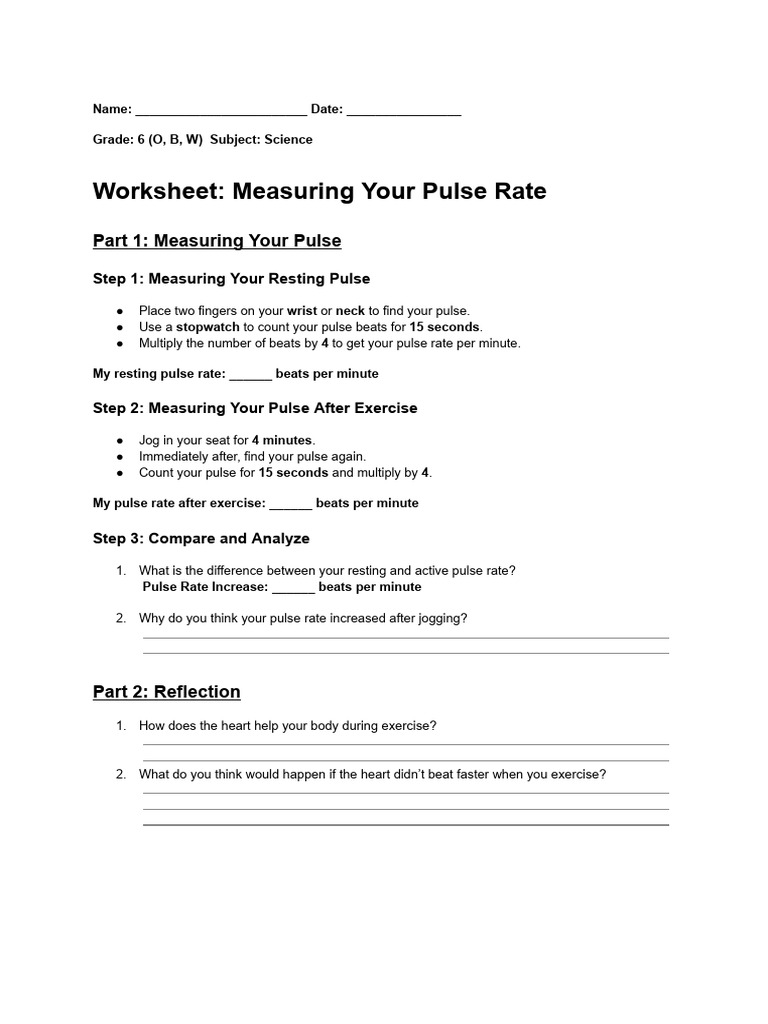 Measuring Pulse Rate Worksheet | PDF