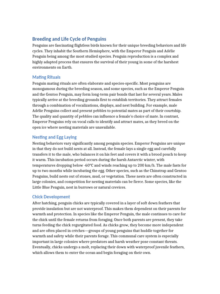 Penguin Breeding and Life Cycle Insights | PDF | Penguin | Birds