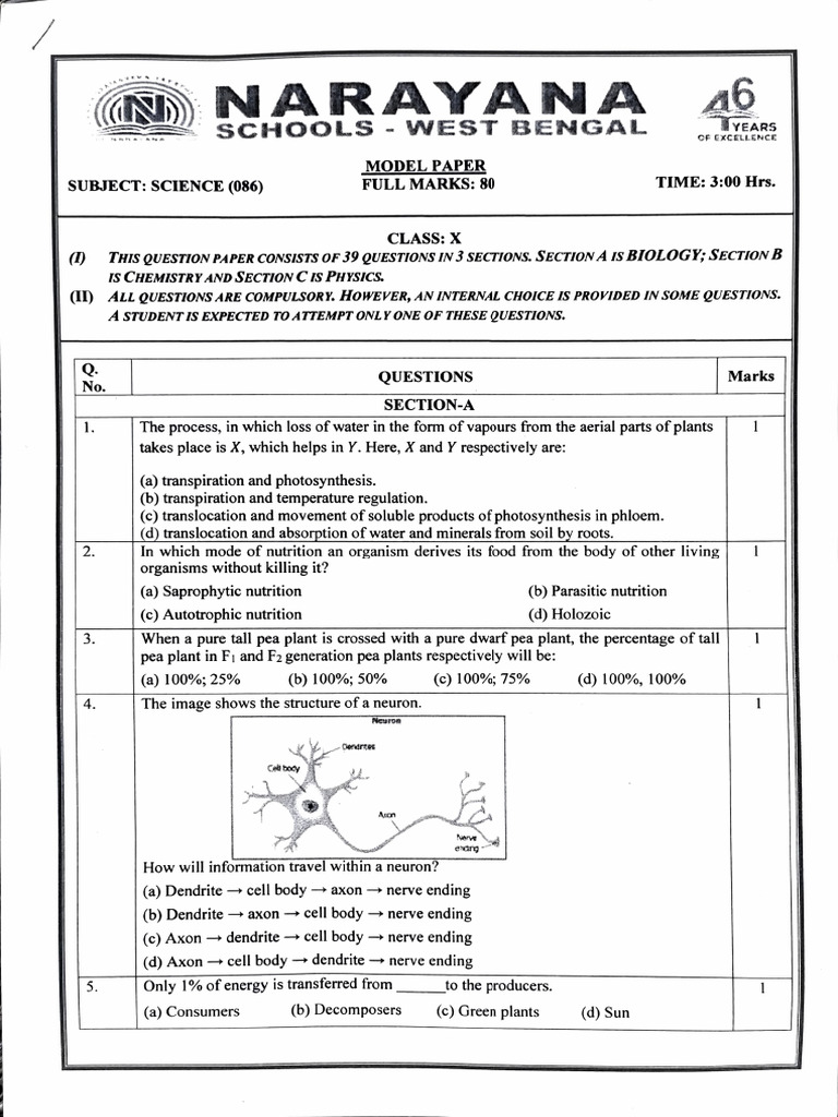 Class X Science Model Paper Overview | PDF | Eye | Voltage