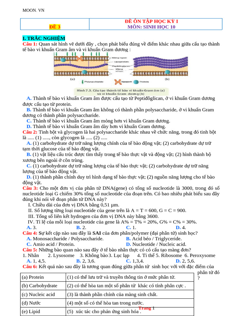 Ôn Sinh | PDF