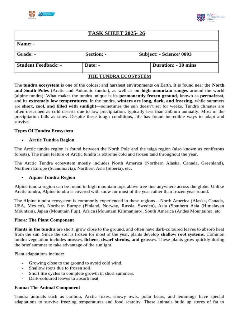 Tundra Ecosystem: Characteristics & Adaptations | PDF | Arctic ...