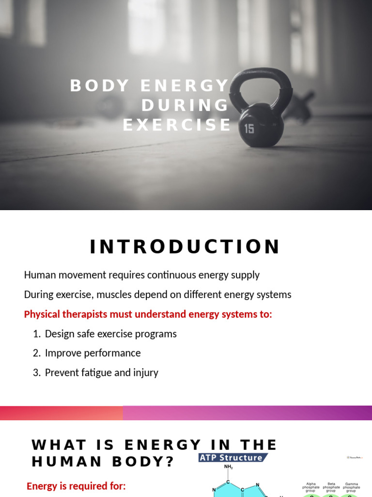 Body Energy During Exercise | PDF | Aerobic Exercise | Skeletal Muscle