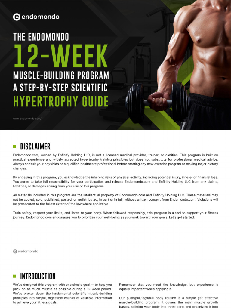 Comprehensive Workout Routine Guide | PDF | Strength Training ...